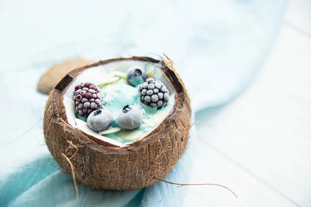 Healthy breakfast berry, banana smoothie bowl in coconut topped with Blueberries and chia seeds , blackberries coconut delicious blueberry smoothie bowl. vegan raw food. Selective focus. copy space.