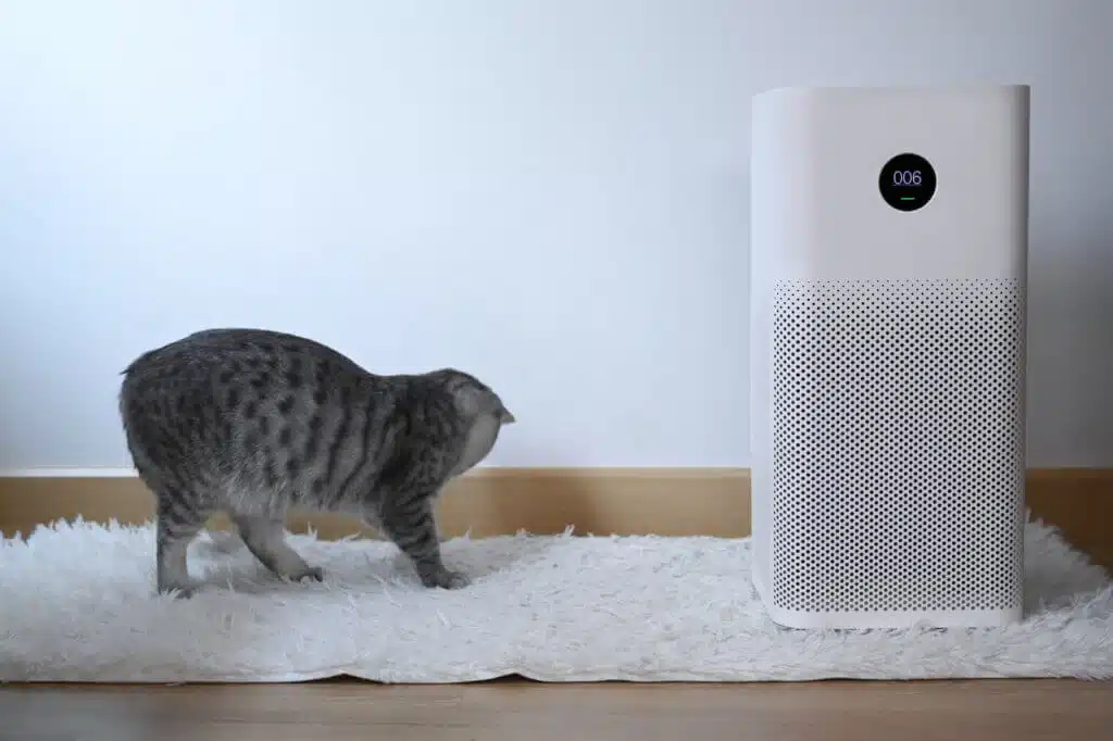 Tabby cat and Air purifier in living room for filter and cleaning removing dust PM2.5.