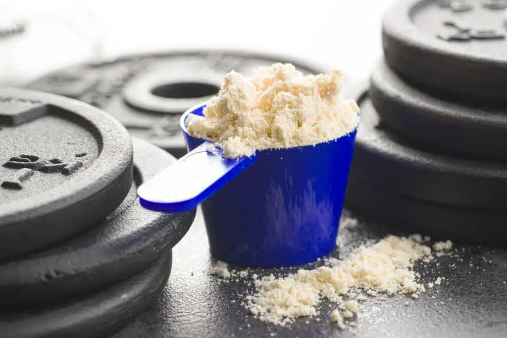 Whey protein powder in scoop.