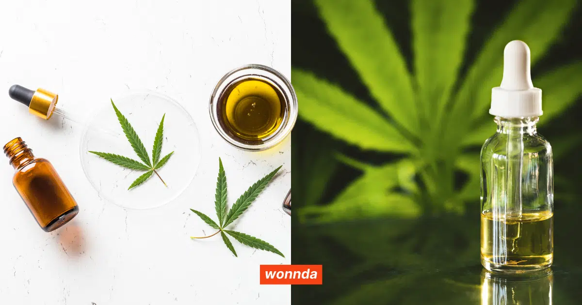 CBD and E-commerce: How Brands are Capitalizing on the Growing Demand for Natural Wellness Solutions