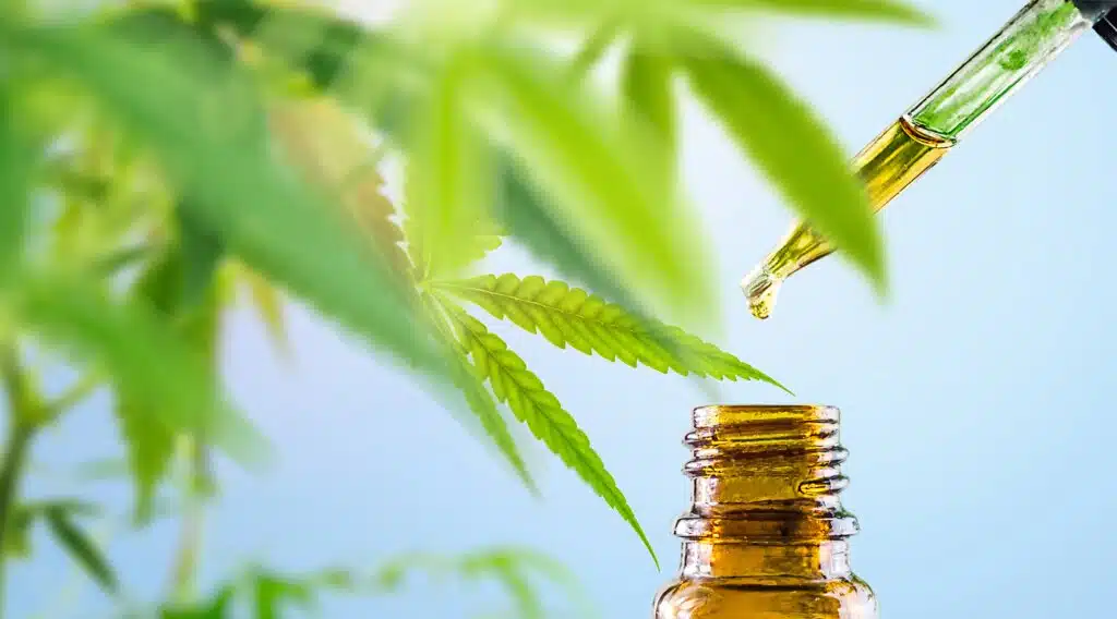 Cannabis CBD oil in eyedropper and bottle against Leafy Cannabis Plant