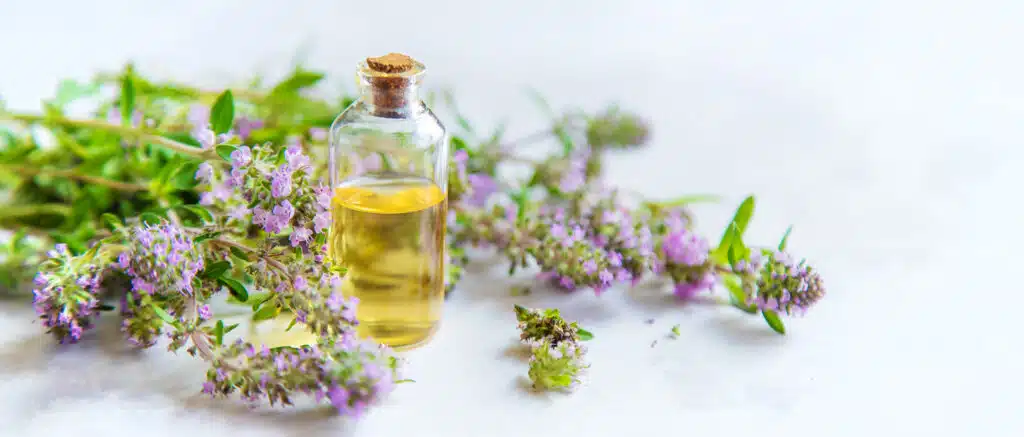Essential oil of thyme in a bottle. Selective focus. Spa.