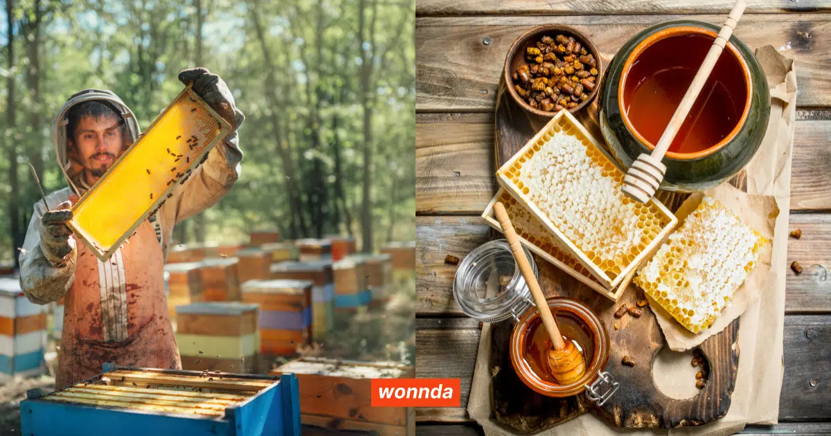The Versatility of Honey: A Sweet Ingredient for Private Label Brands
