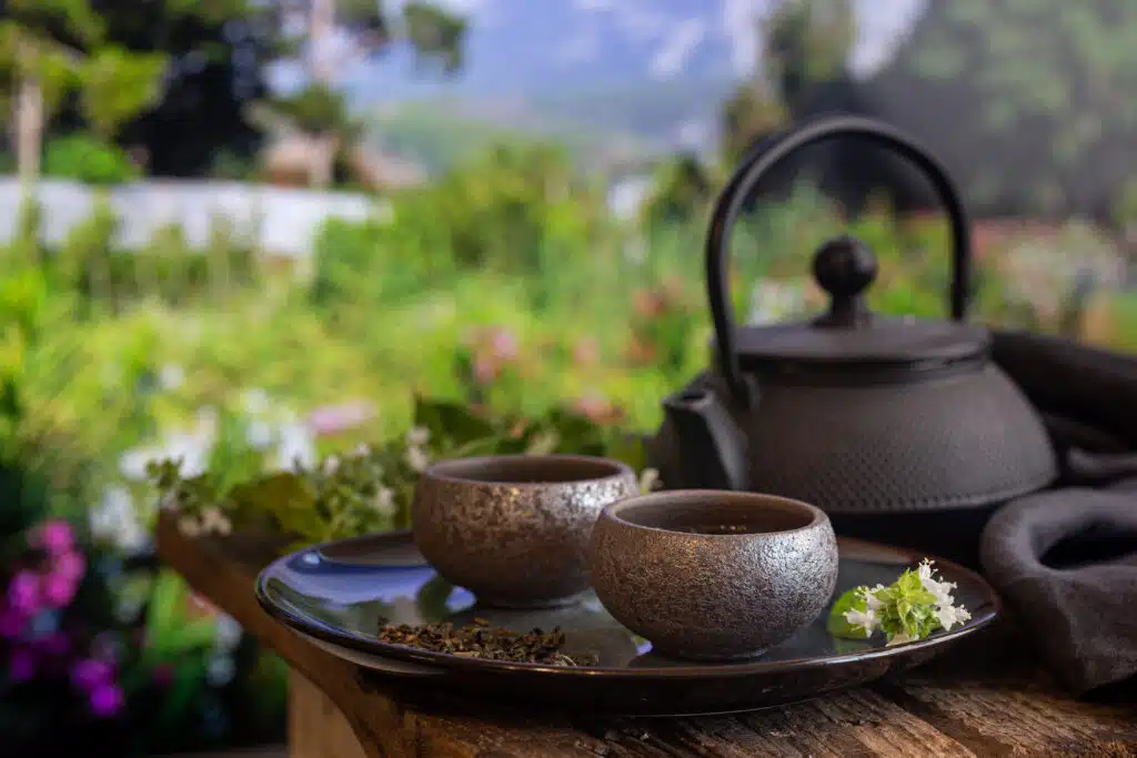 Two cups of green tea and teapot on wooden table and nature background with copy space