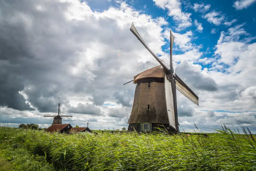 Windmills and farm  in The Netherlands a sunny day