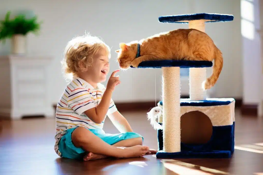 Young child gently playing with a domestic cat, demonstrating the joy and companionship derived from pet ownership.