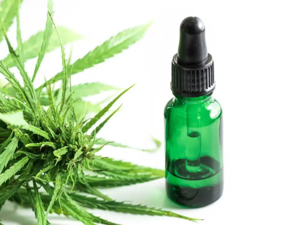 Cannabis plant and bottle with a CBD oil on white background